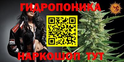 PSILOCYBIN Балашиха