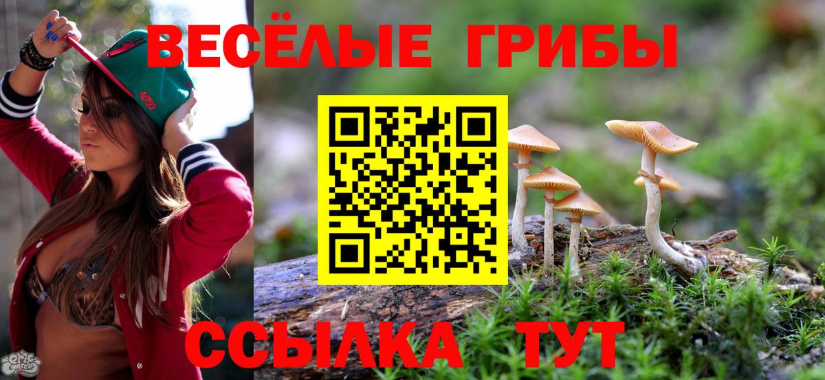 Псилоцибиновые грибы Psilocybine cubensis Грязи